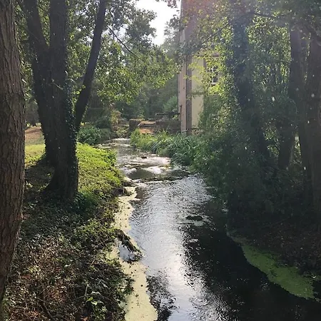 Le Moulin De Balines